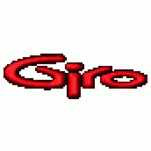 Giro Helmet Replacement Visor