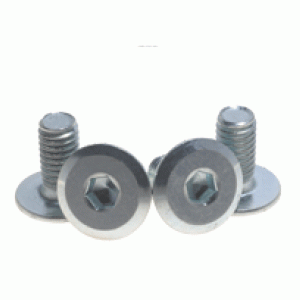 Mounting Bolts for Inline Speed Skates